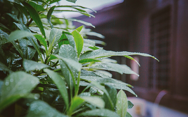 径山古道第 21 张图片
