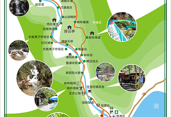 千岛湖森林氧吧第 3 张图片