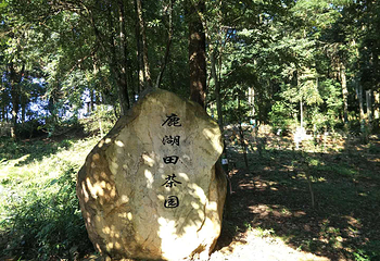 流溪河国家森林公园第 26 张图片
