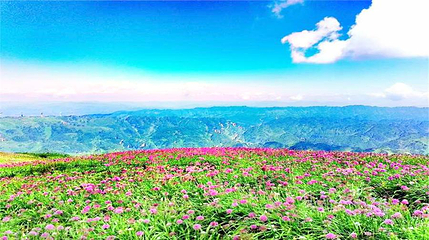阿西里西韭菜坪第 16 张图片