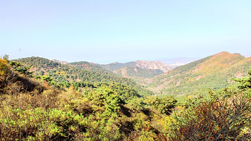 大连金龙寺国家森林公园