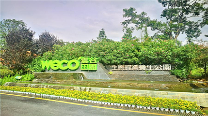 云谷生态园第 1 张图片