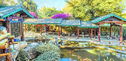 大理苍山植物园