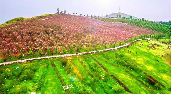 邵东怡卉园度假景区