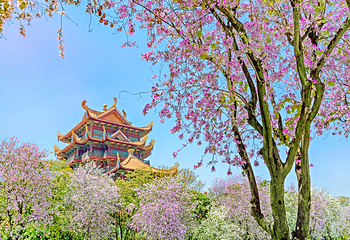 西禅古寺第 11 张图片