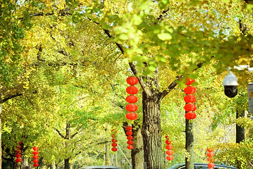 长兴八都岕景区第 65 张图片