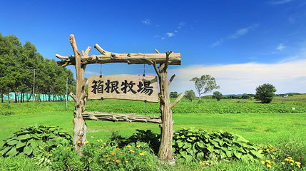 北海道箱根牧场第 1 张图片