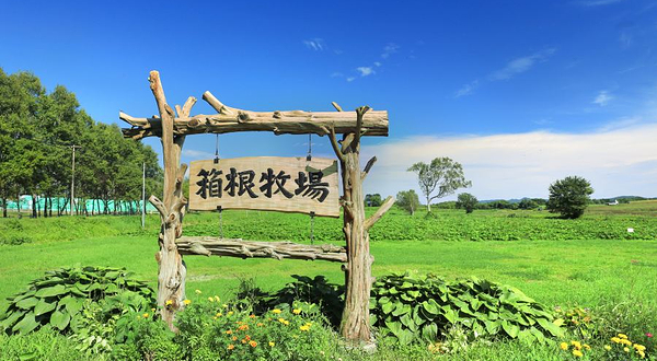 北海道箱根牧场
