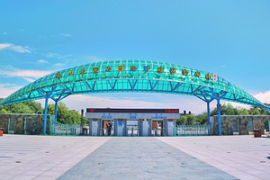 舟山朱家尖国际沙雕艺术广场