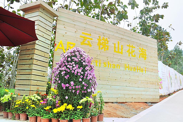 云梯山花海第 1 张图片