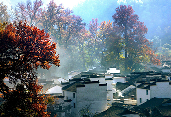 婺源风景区第 122 张图片