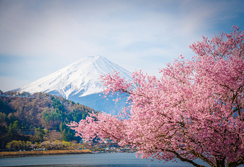 富士山第 19 张图片