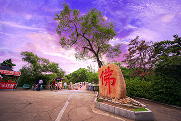 北山公园第 4 张图片