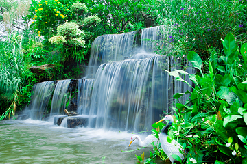 莲花山旅游区第 2 张图片