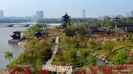 凤城河桃园第 1 张图片