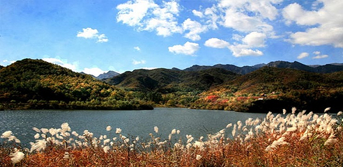 玉渡山景区第 24 张图片