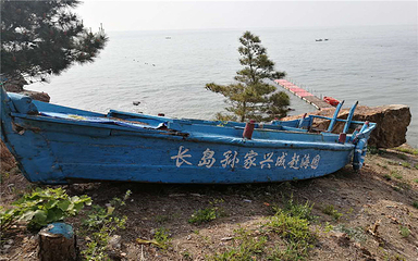 兴成孙家赶海园第 33 张图片