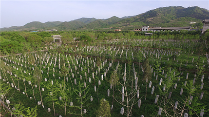 关中民俗艺术博物院第 45 张图片