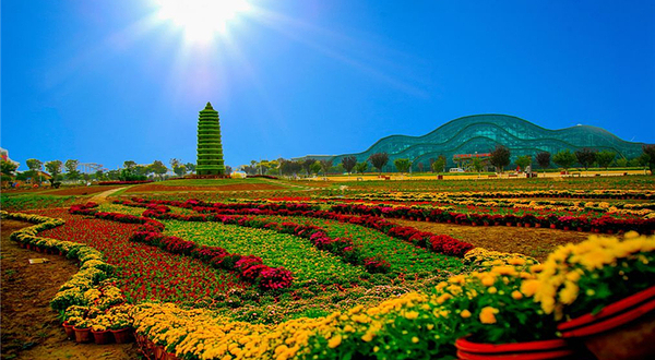 泾河智慧农业园