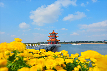 泰山天颐湖旅游度假区第 1 张图片