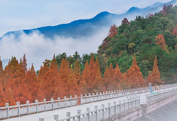 金华双龙风景旅游区第 67 张图片