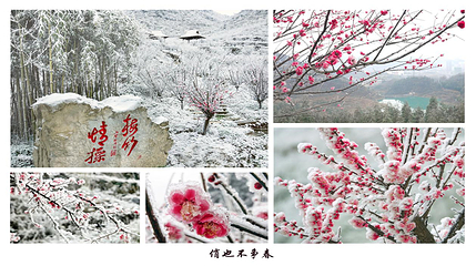 六盘水梅花山国际滑雪场第 24 张图片