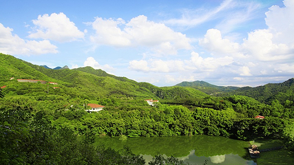 雁南飞茶田景区第 12 张图片