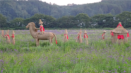 京舟村第 25 张图片