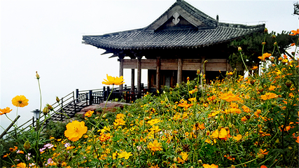 万安山山顶公园第 4 张图片