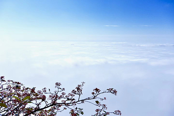灵山风景区第 63 张图片