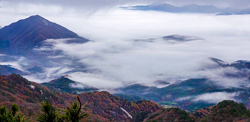 湖北大别山主峰景区第 29 张图片