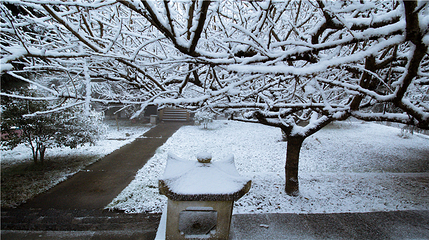 玉舍雪山滑雪场第 53 张图片