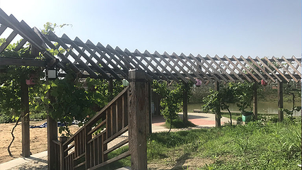 傲梅园水上游乐场第 17 张图片