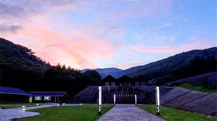 云岭野山参风景区第 15 张图片