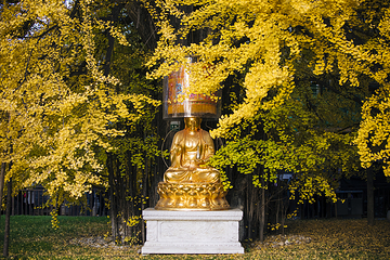 古观音禅寺第 4 张图片