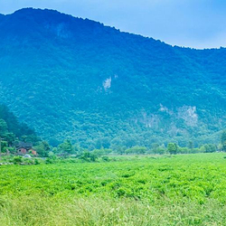 大洪山风景名胜区