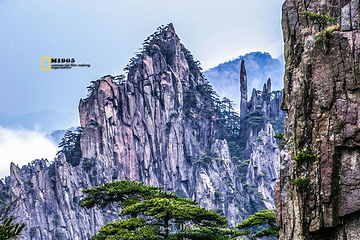 始信峰第 11 张图片