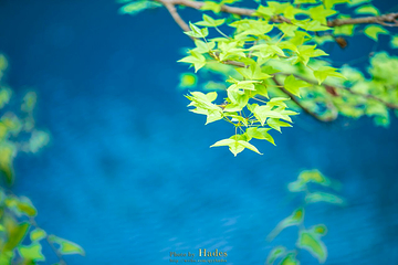 小七孔景区-卧龙潭第 9 张图片