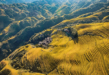 龙脊梯田风景名胜区-金坑梯田第 9 张图片