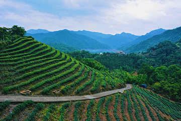 Shihding Ciandao Lake第 5 张图片