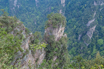 杨家界景区第 24 张图片