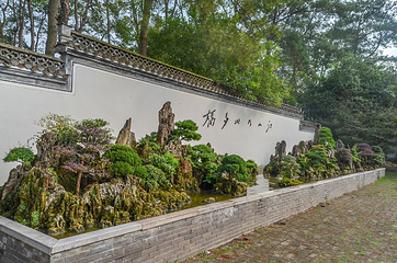 鲍家花园第 10 张图片