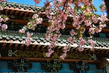 琅琊寺第 20 张图片