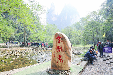 金鞭溪峡谷第 41 张图片