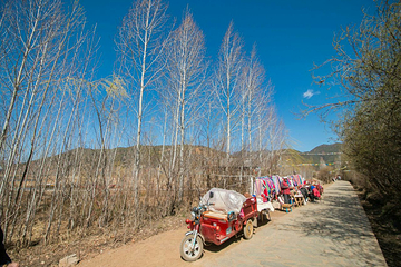 泸沽湖风景名胜区出水洞-走婚桥第 36 张图片