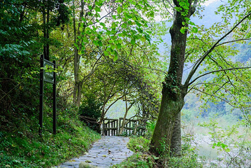 阳坝自然风景区第 4 张图片