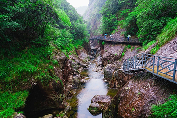 文成铜铃山森林公园景区第 5 张图片