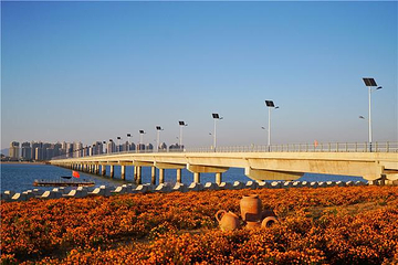 海阳连理岛第 1 张图片
