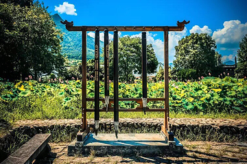 新叶古村第 46 张图片