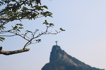 Mirante Dona Marta第 8 张图片